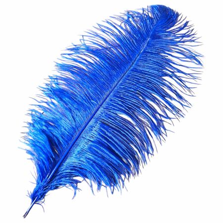 Strusie Pióra pióro 55-60 cm, chabrowe, niebieskie - Wesele, Gatsby
